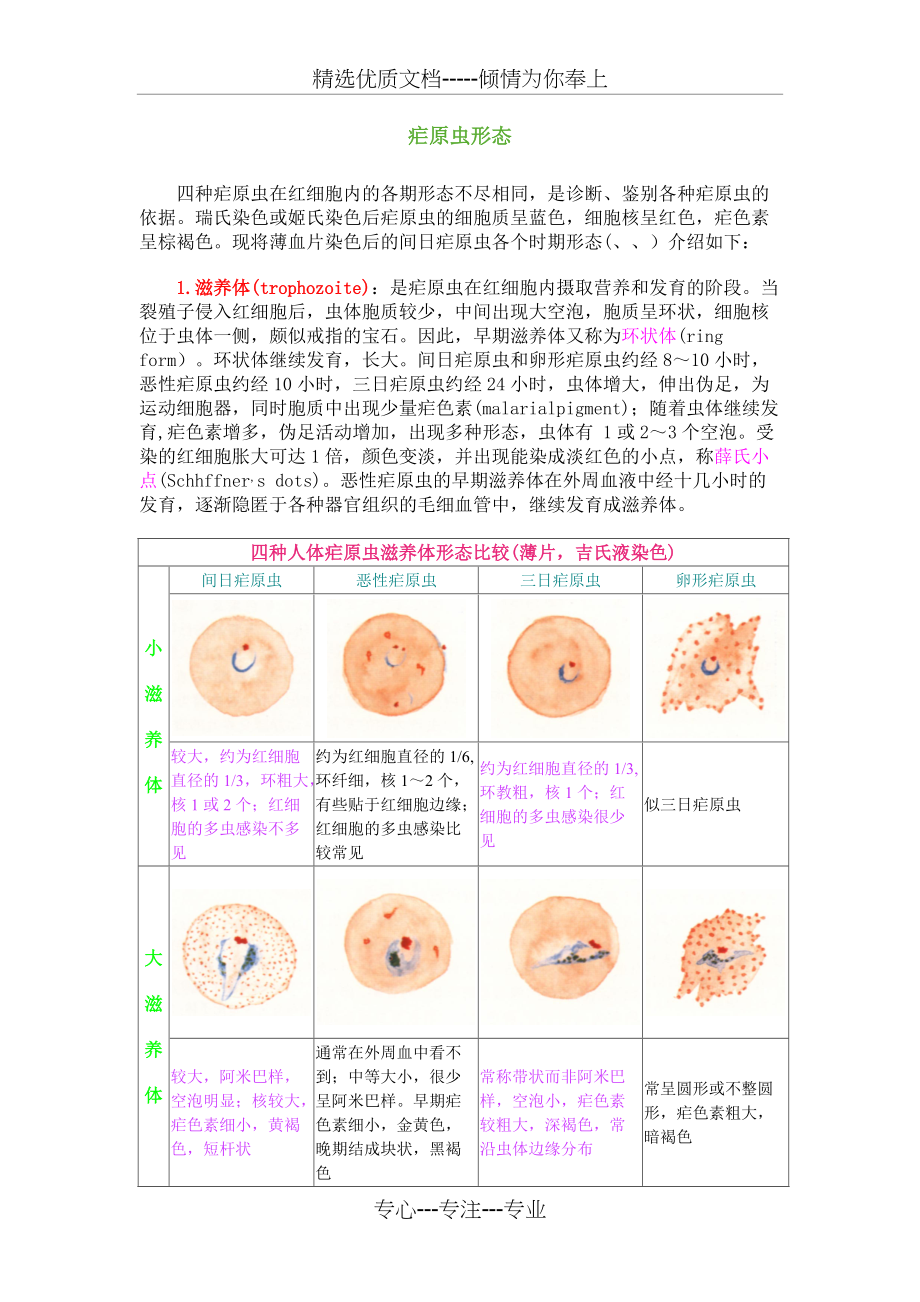 疟原虫形态(共3页)_第1页