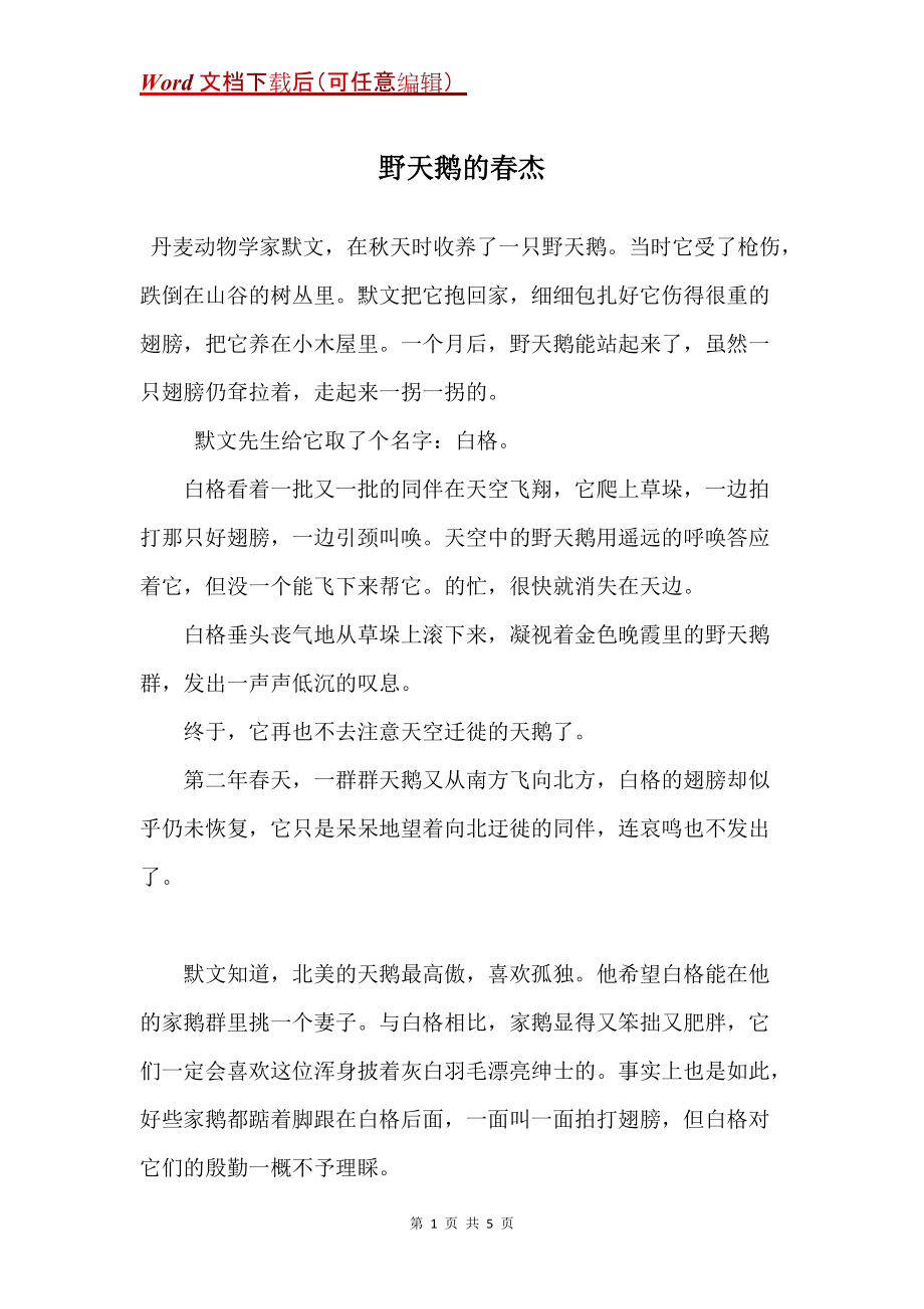 野天鹅的春杰_第1页
