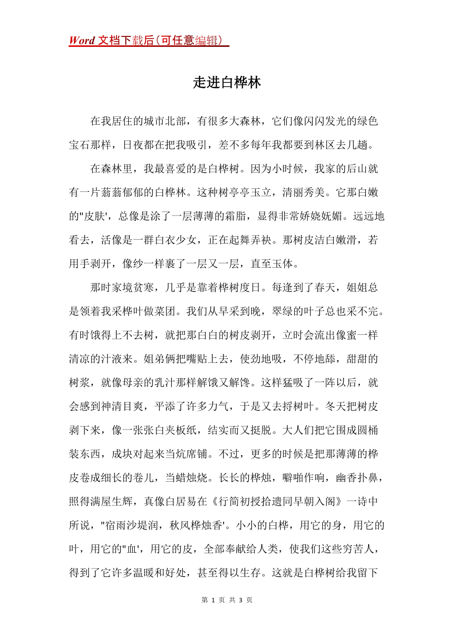 走进白桦林_第1页