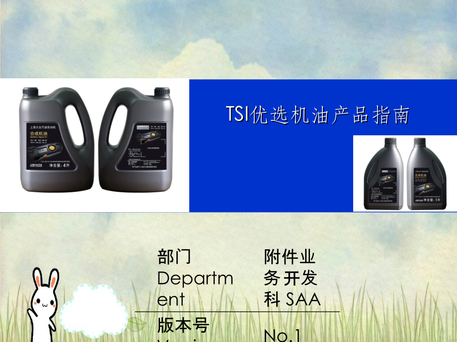 TSI优选机油产品指南_第1页