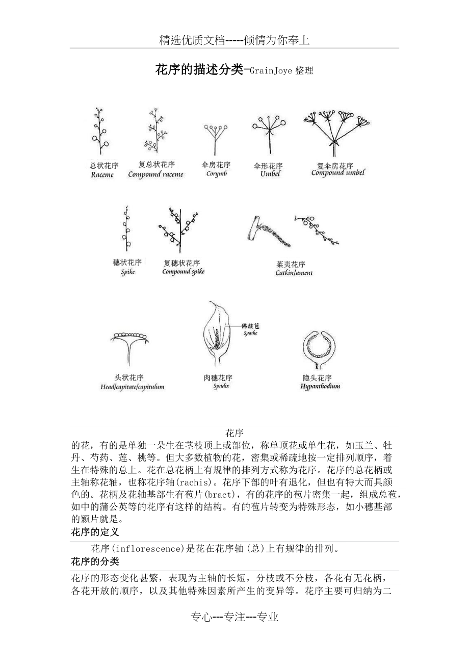 花序描述分类(最新整理)(共10页)_第1页