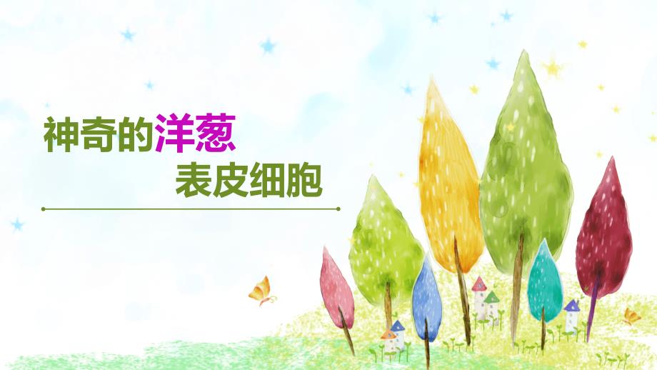 神奇的洋葱表皮细胞_第1页