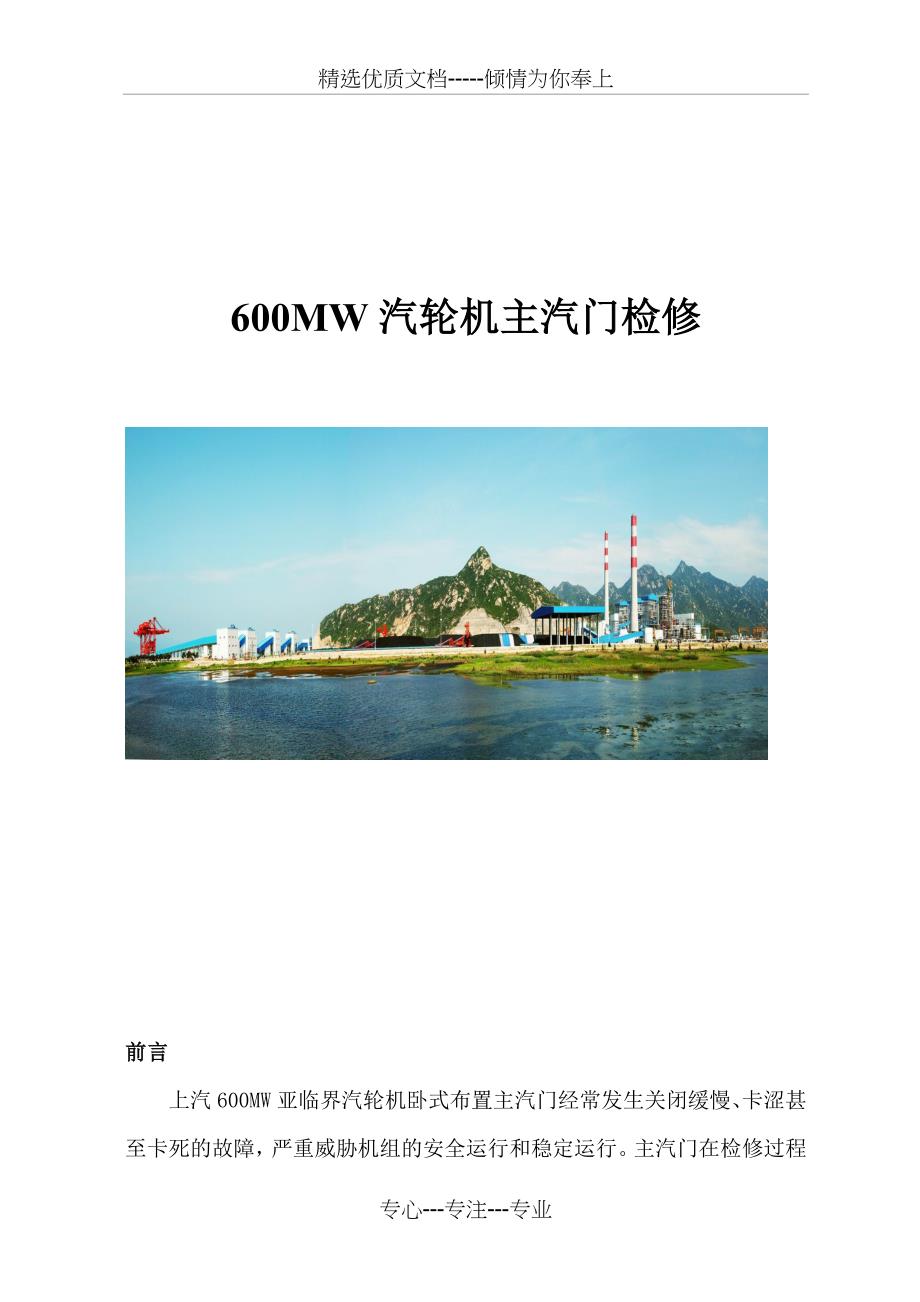 600MW汽轮机高压主汽门检修工艺(共13页)_第1页
