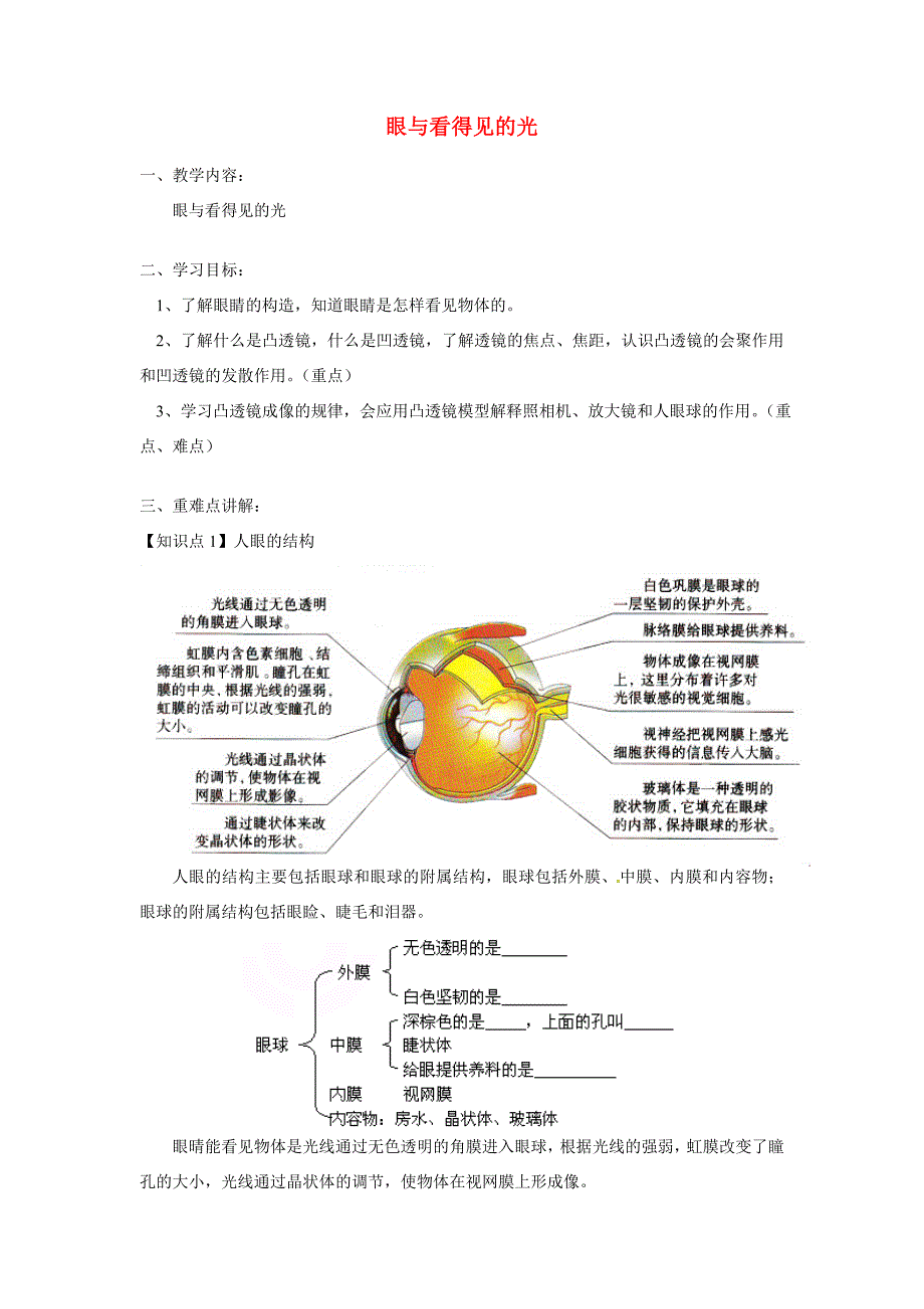 八年级科学上册 眼与看得见的光教案 鄂教版_第1页