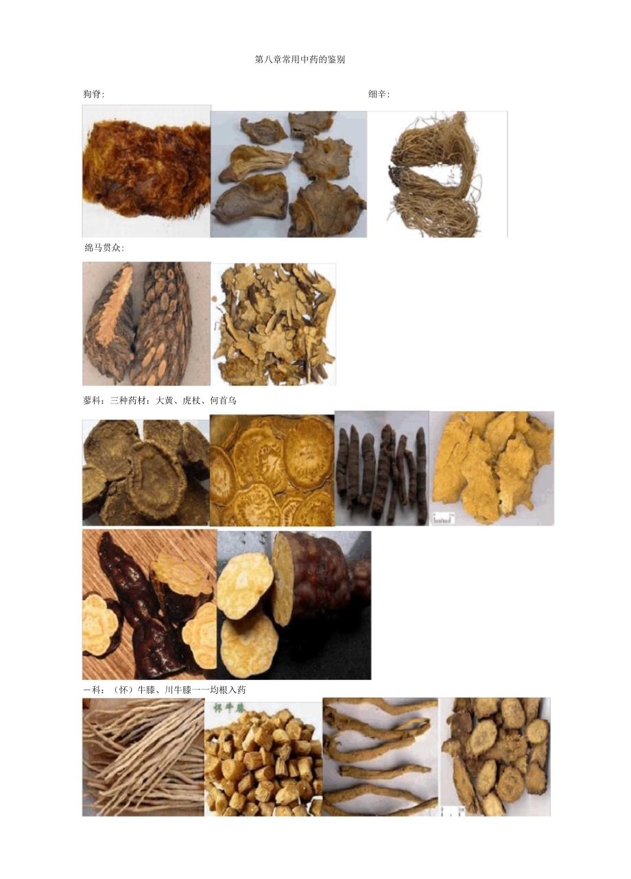 执业中药师药一常用中药图谱.doc_第1页