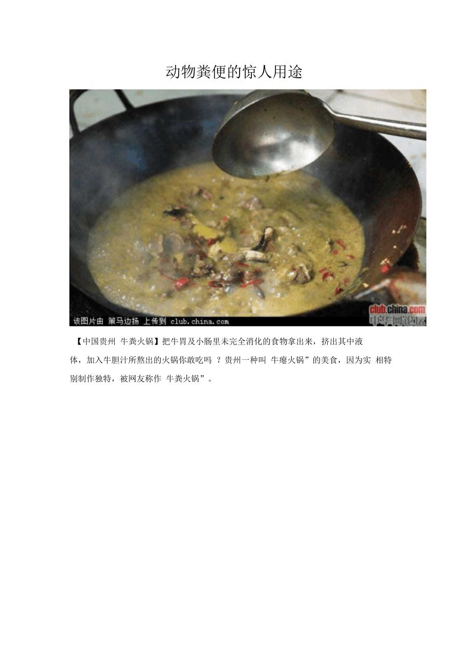 动物粪便的惊人用途要点_第1页