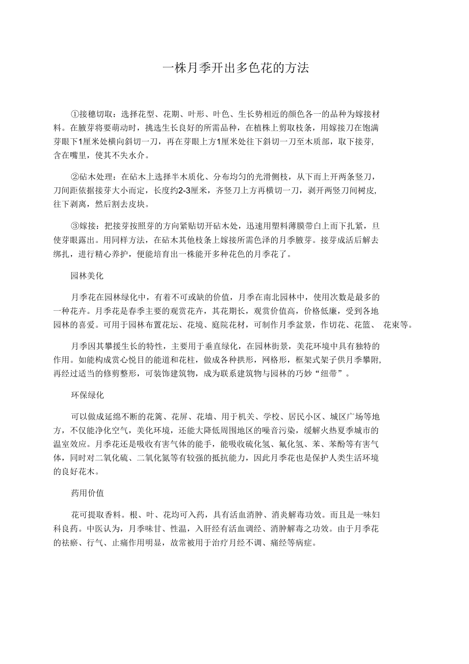 一株月季开出多色花的方法_第1页