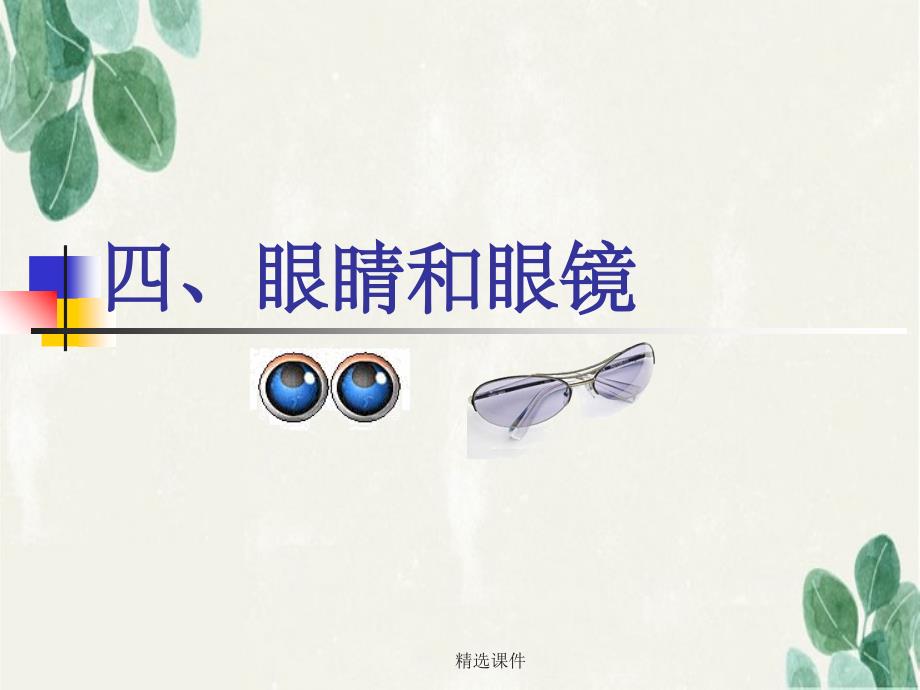 《四眼睛和眼镜》_第1页