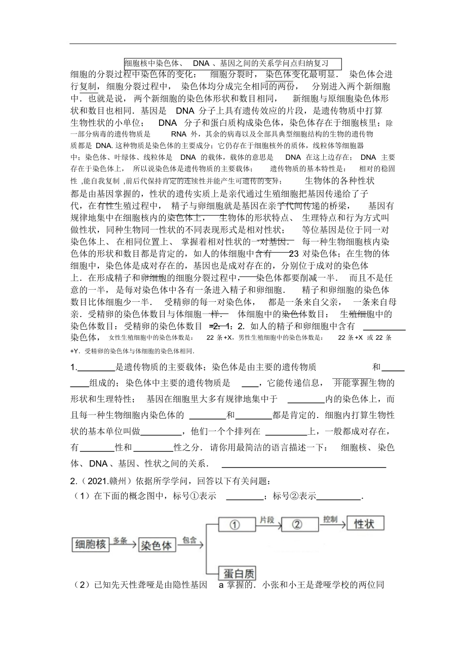 细胞核中染色体、DNA、基因之间的关系知识点归纳复习2_第1页