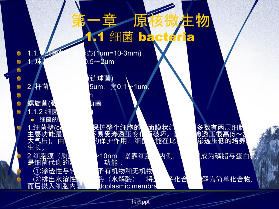 《原核微生物1细菌》_第1页