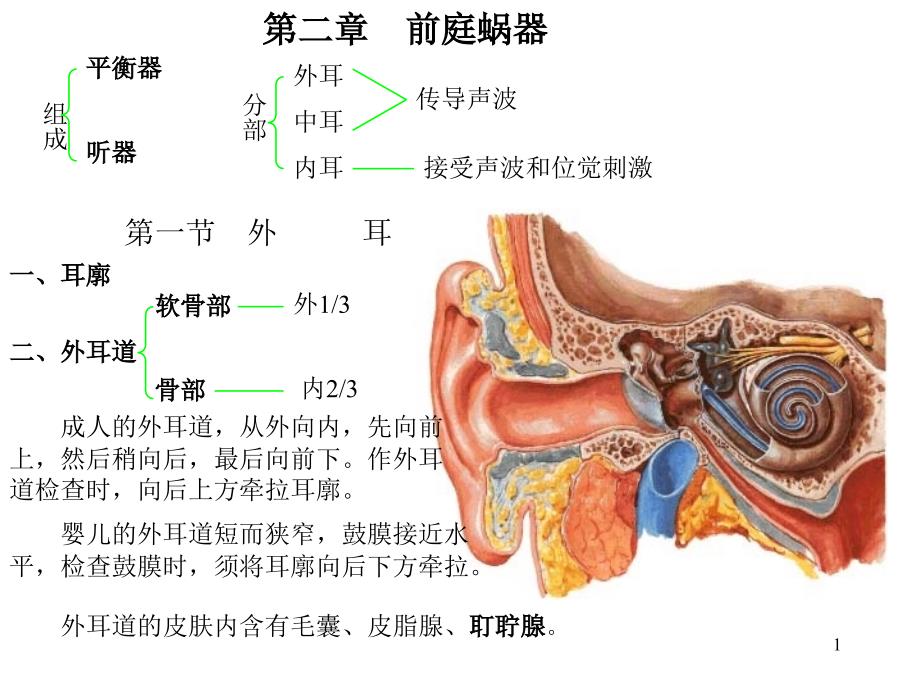 小儿内科资料课件 耳_第1页