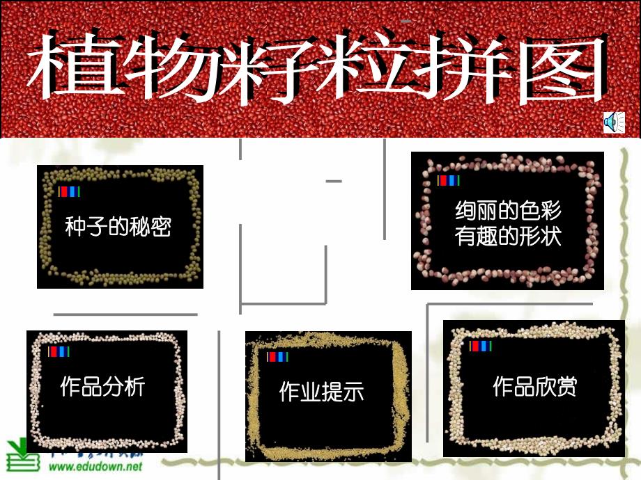 人美版美术三上《植物籽粒拼图》PPT课件2_第1页