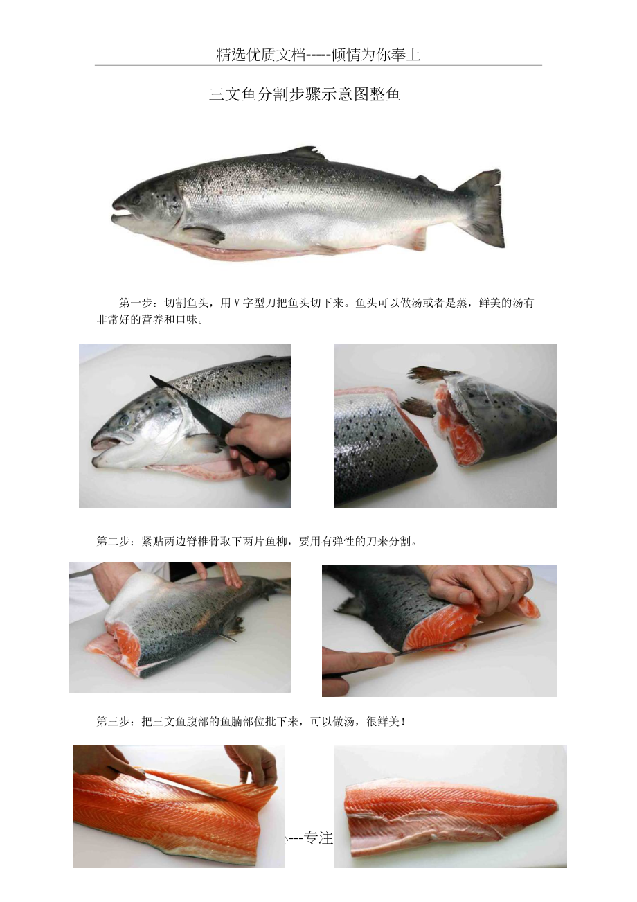三文鱼的分割图(总4页)_第1页