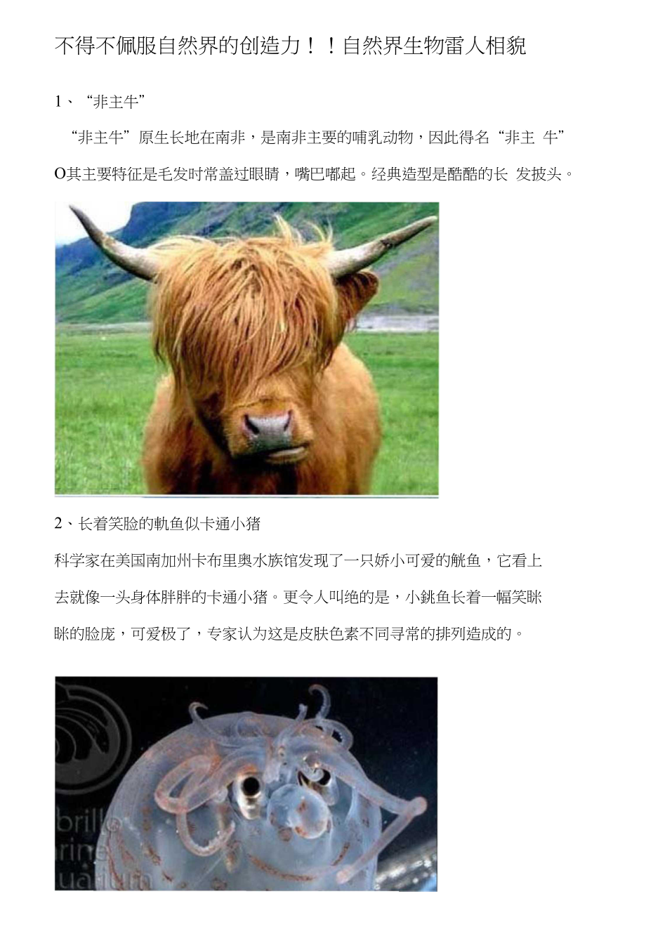 [说明]不得不佩服自然界的创造力!!自然界生物雷人相貌_第1页