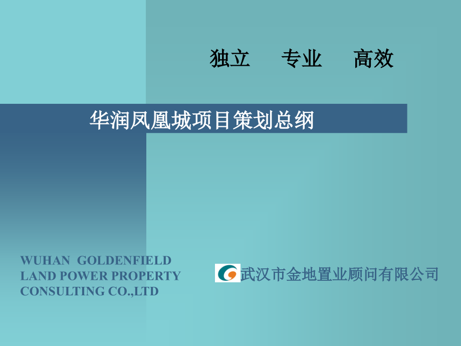 武汉华润房地产营销策划提纲(共111页)_第1页