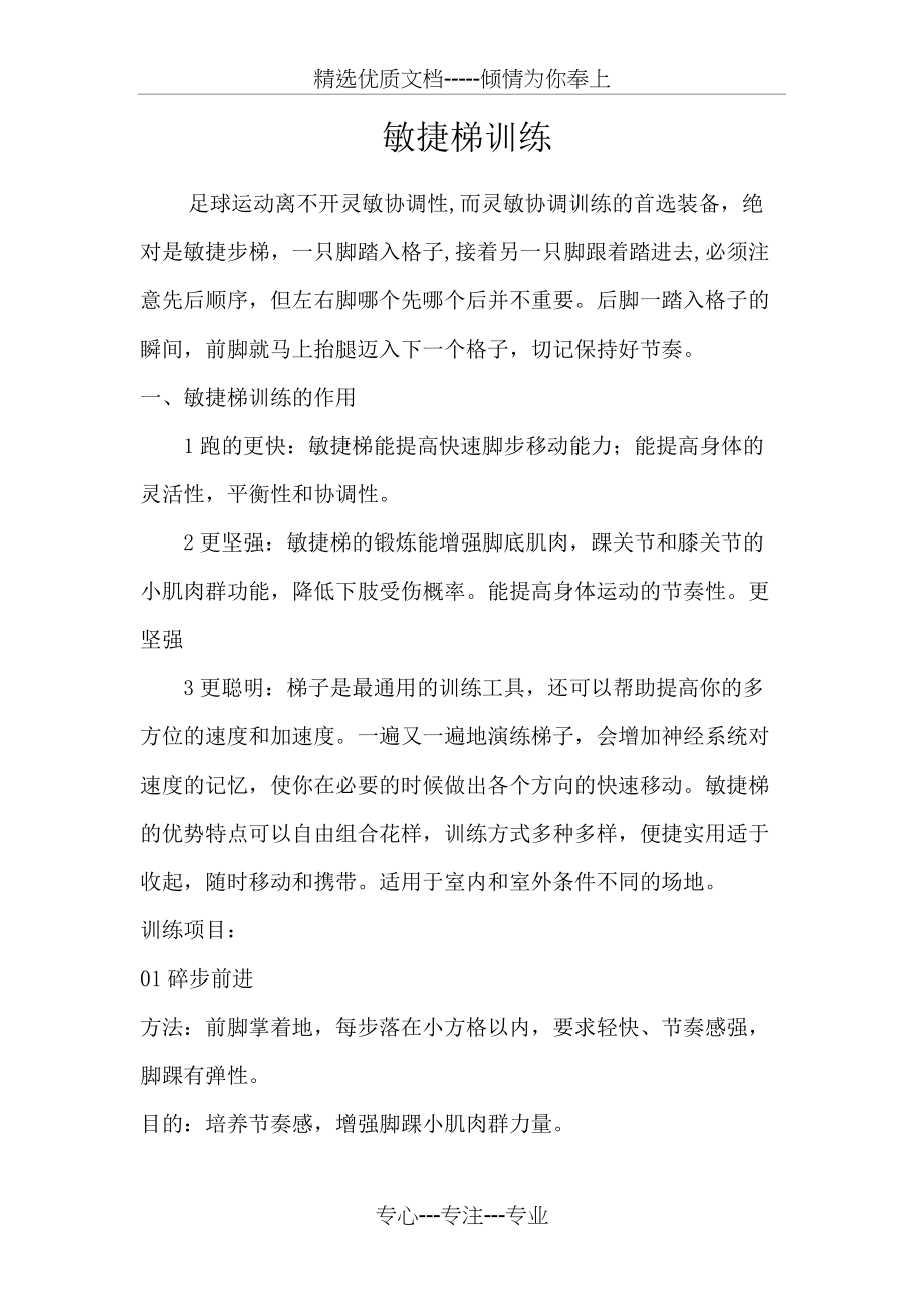 敏捷梯的训练(云梯)(总10页)_第1页