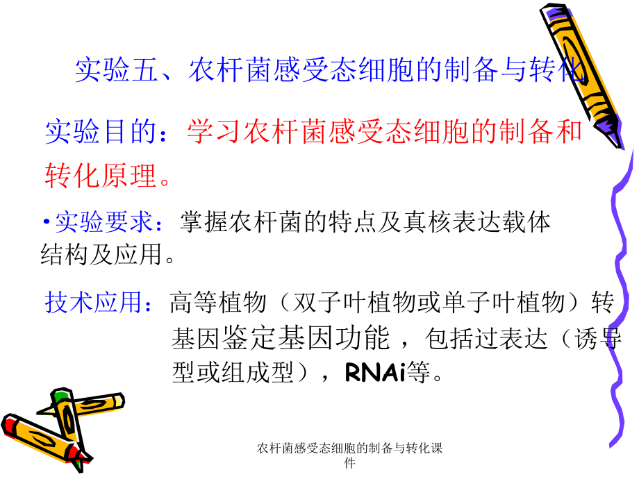 农杆菌感受态细胞的制备与转化课件_第1页