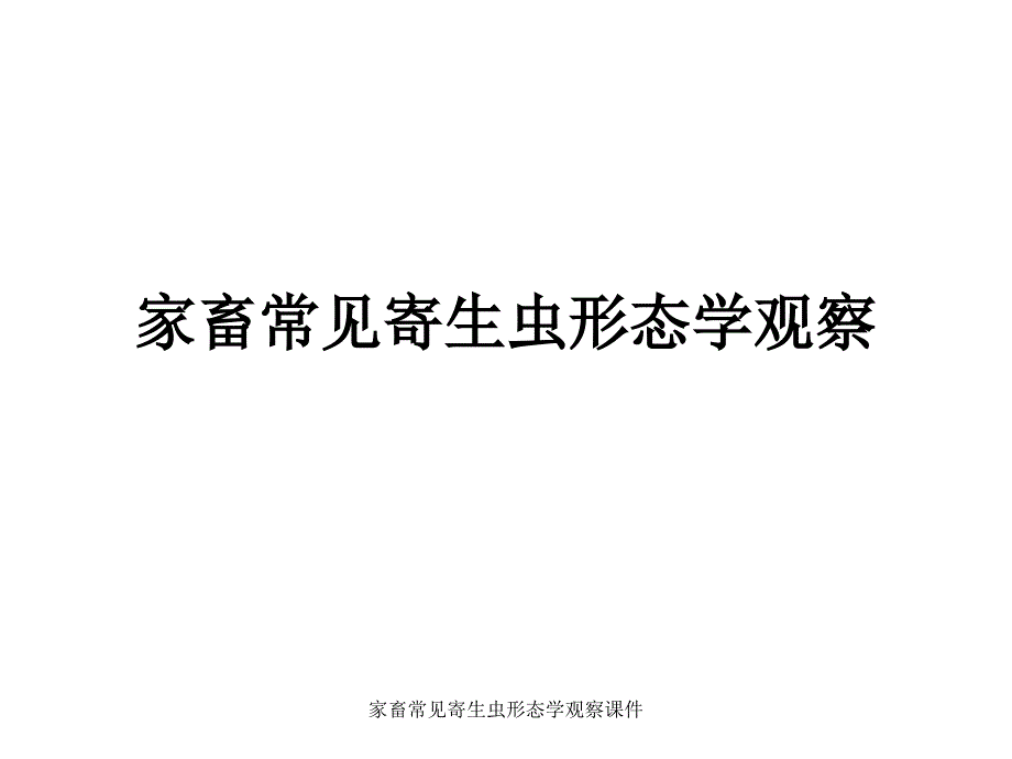 家畜常见寄生虫形态学观察课件_第1页