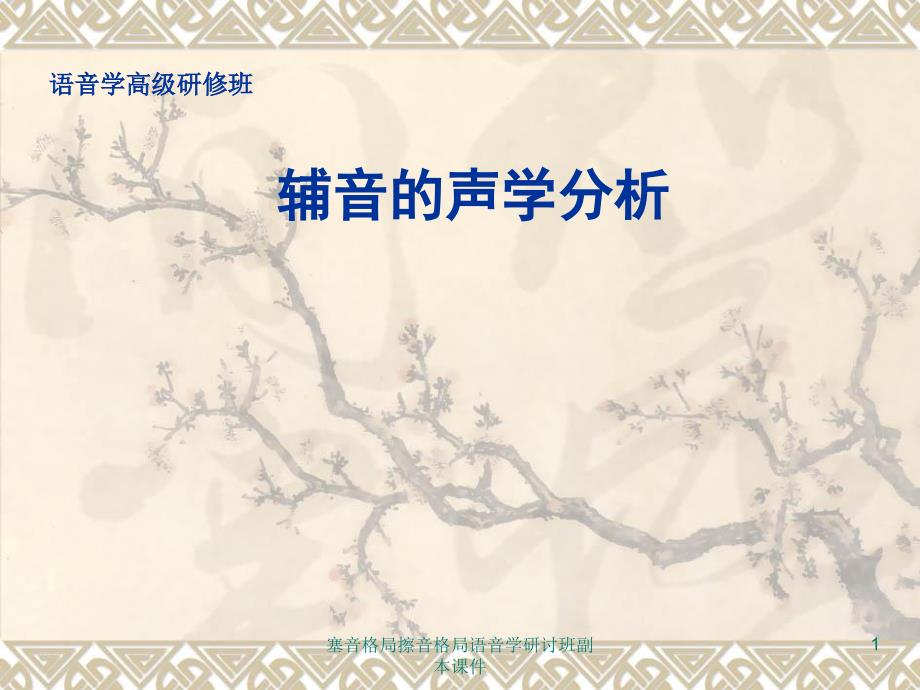 塞音格局擦音格局语音学研讨班副本课件_第1页