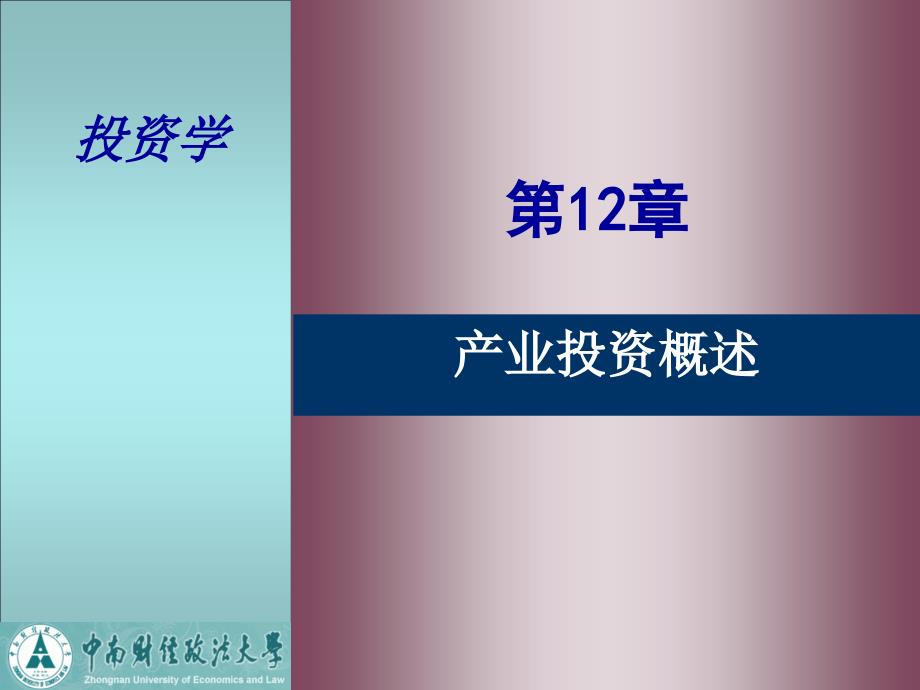 投资学（第三版） 张中华课件 a第12章 产业投资概述_第1页