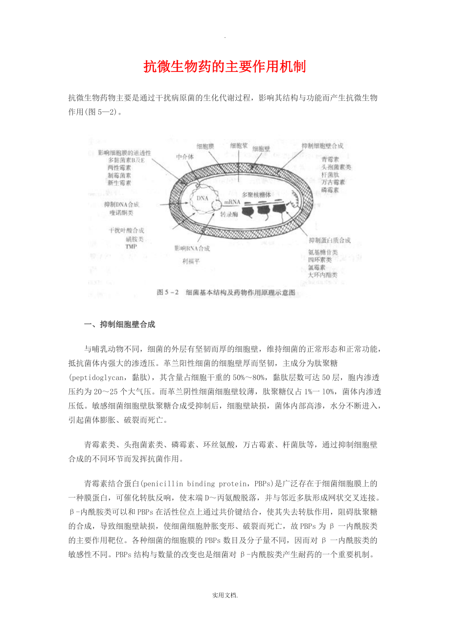 抗微生物药的主要作用机制_第1页