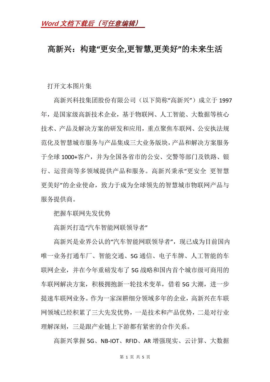 高新兴：构建“更安全,更智慧,更美好”的未来生活_第1页