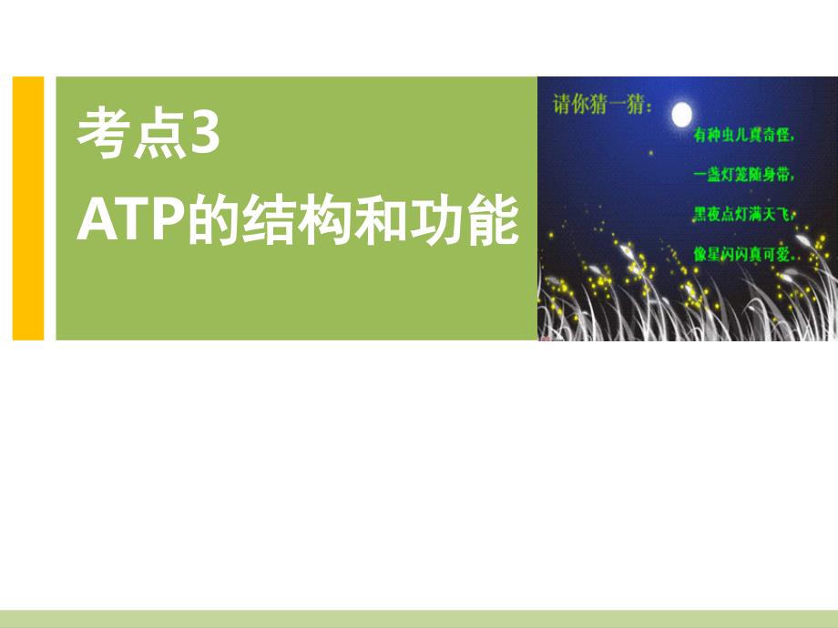 考点3-ATP的结构和功能(课堂PPT)_第1页
