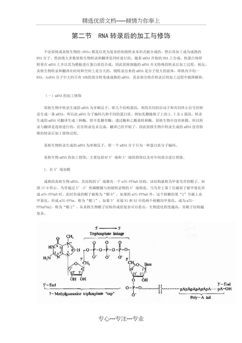 RNA转录后的加工与修饰(共8页)_第1页