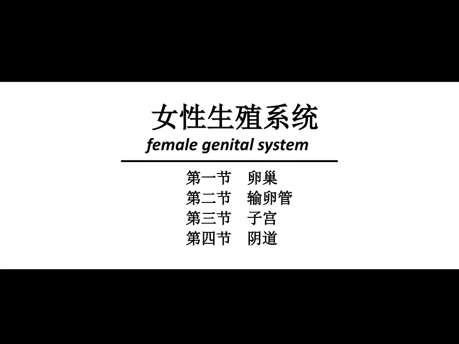 内脏学 课件中文-女性生殖系统_第1页