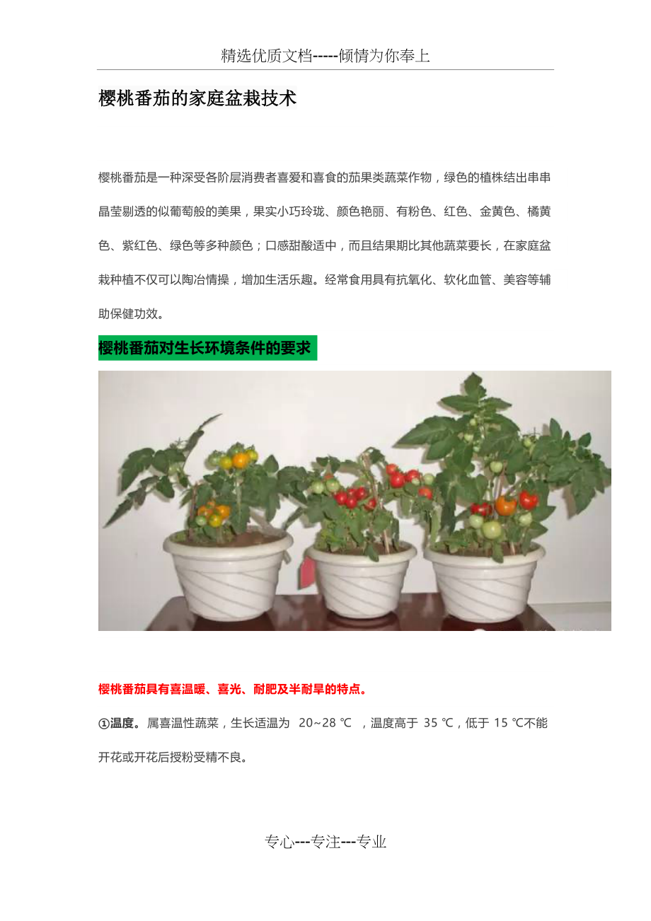 樱桃番茄的家庭盆栽技术(共9页)_第1页