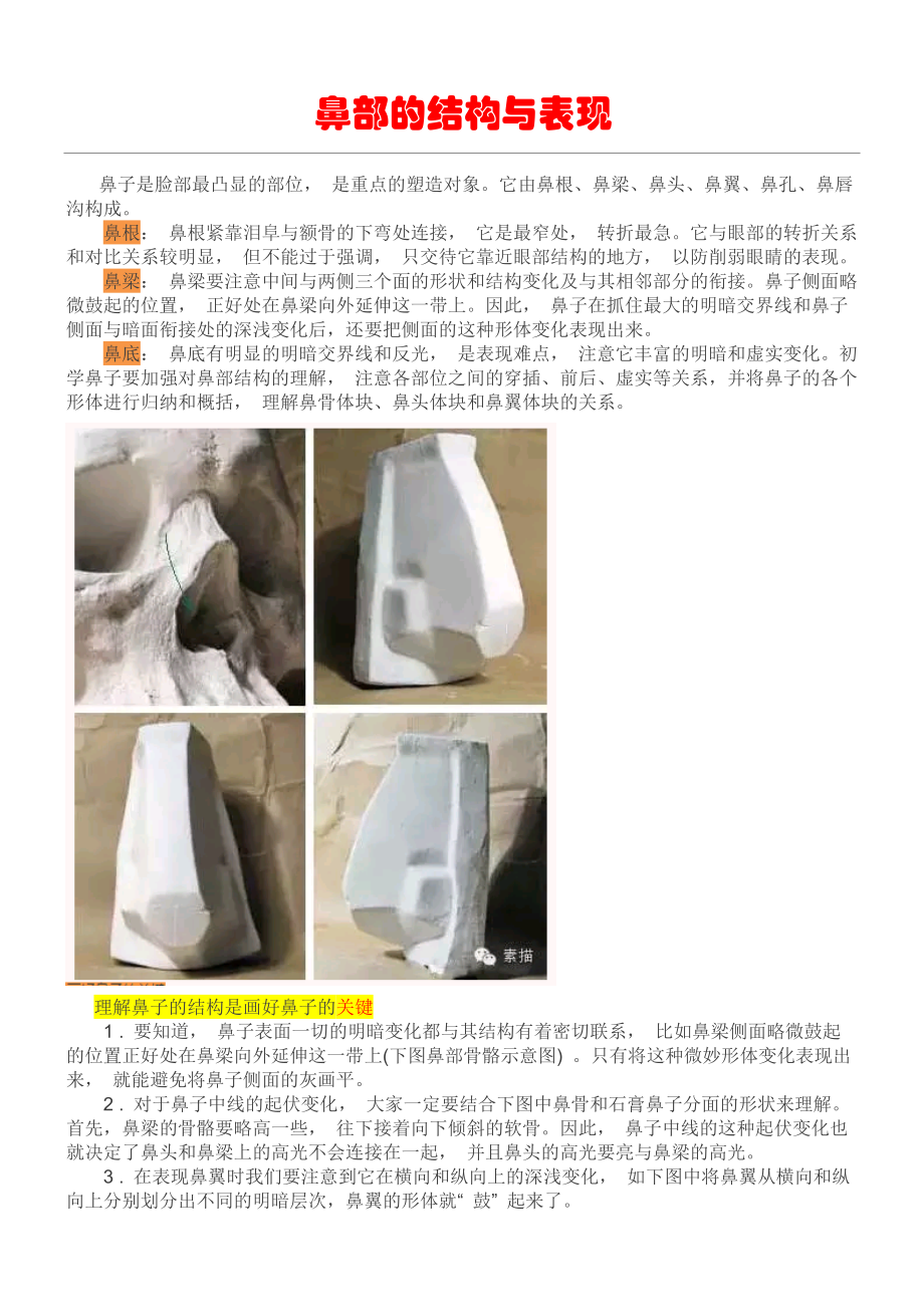 鼻部的结构与表现,DOC_第1页
