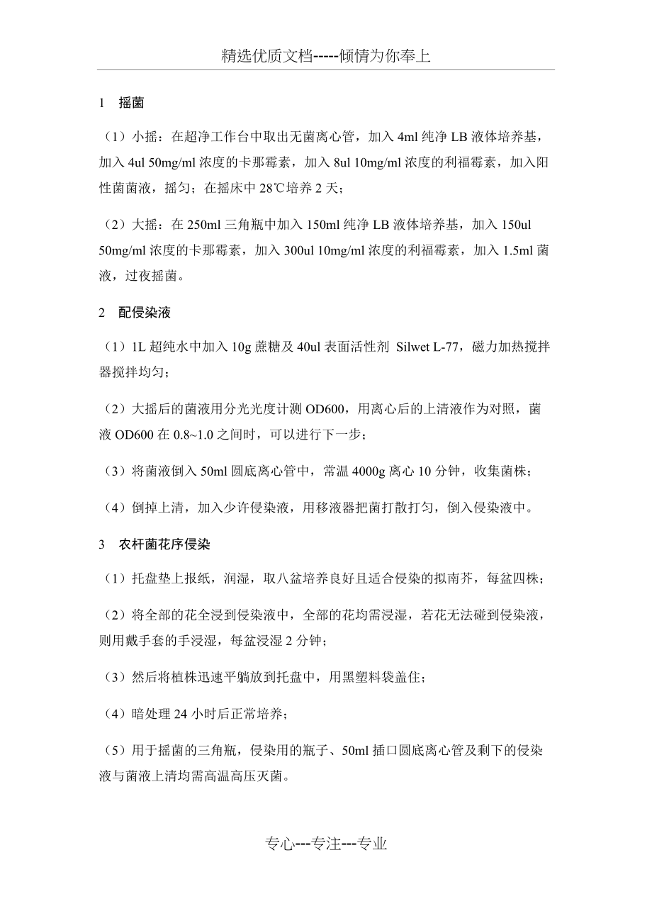 园艺-拟南芥侵染和筛选的流程(共3页)_第1页