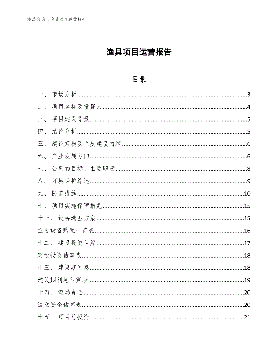 渔具项目运营报告（模板范文）_第1页