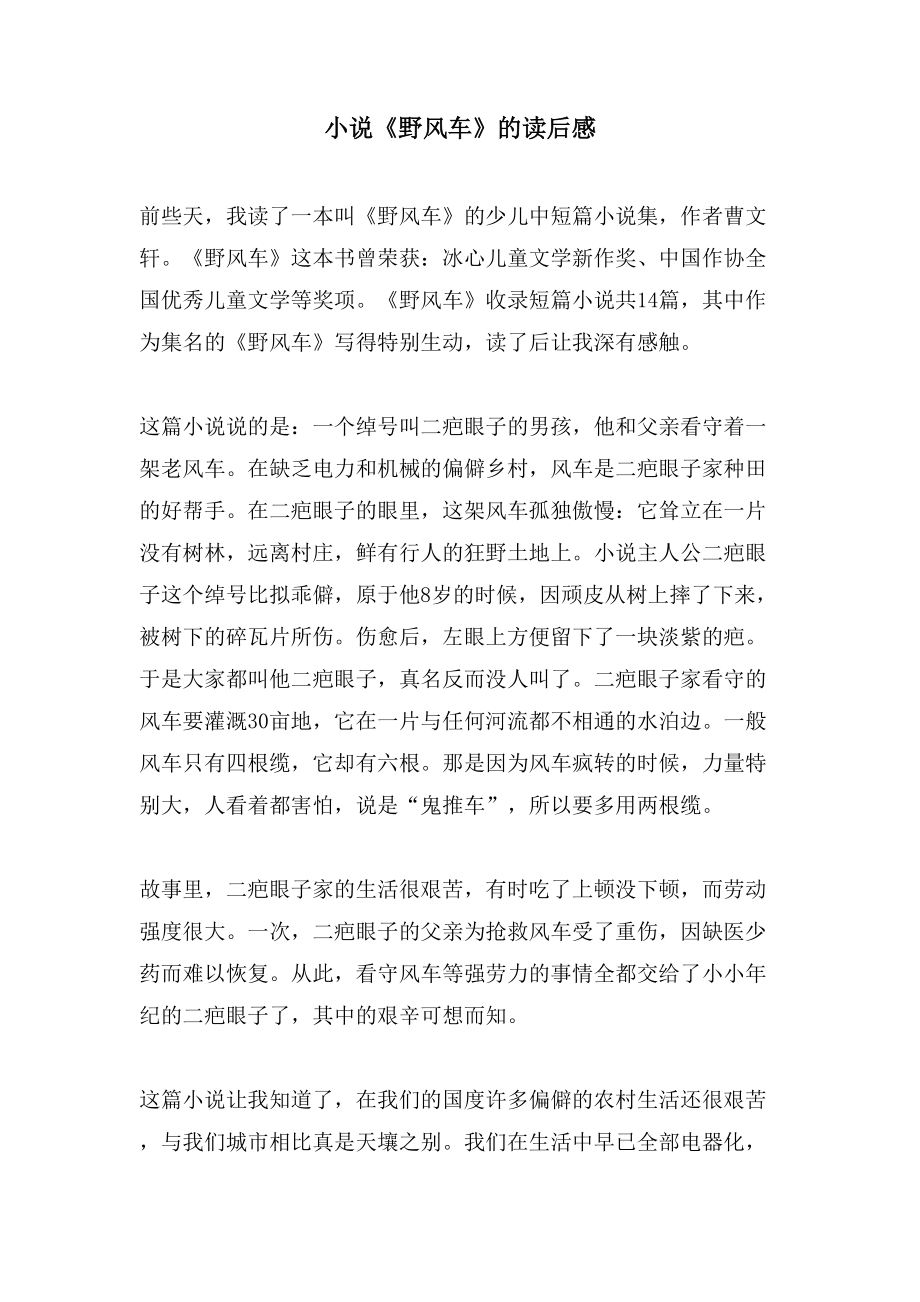 小说《野风车》的读后感_第1页