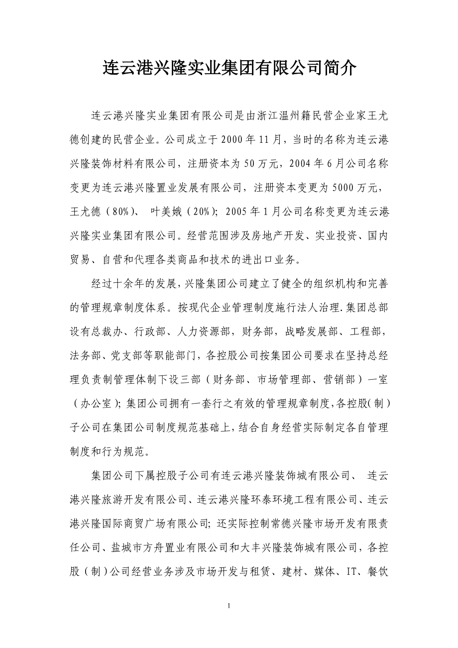 集团及项目情况介绍_第1页