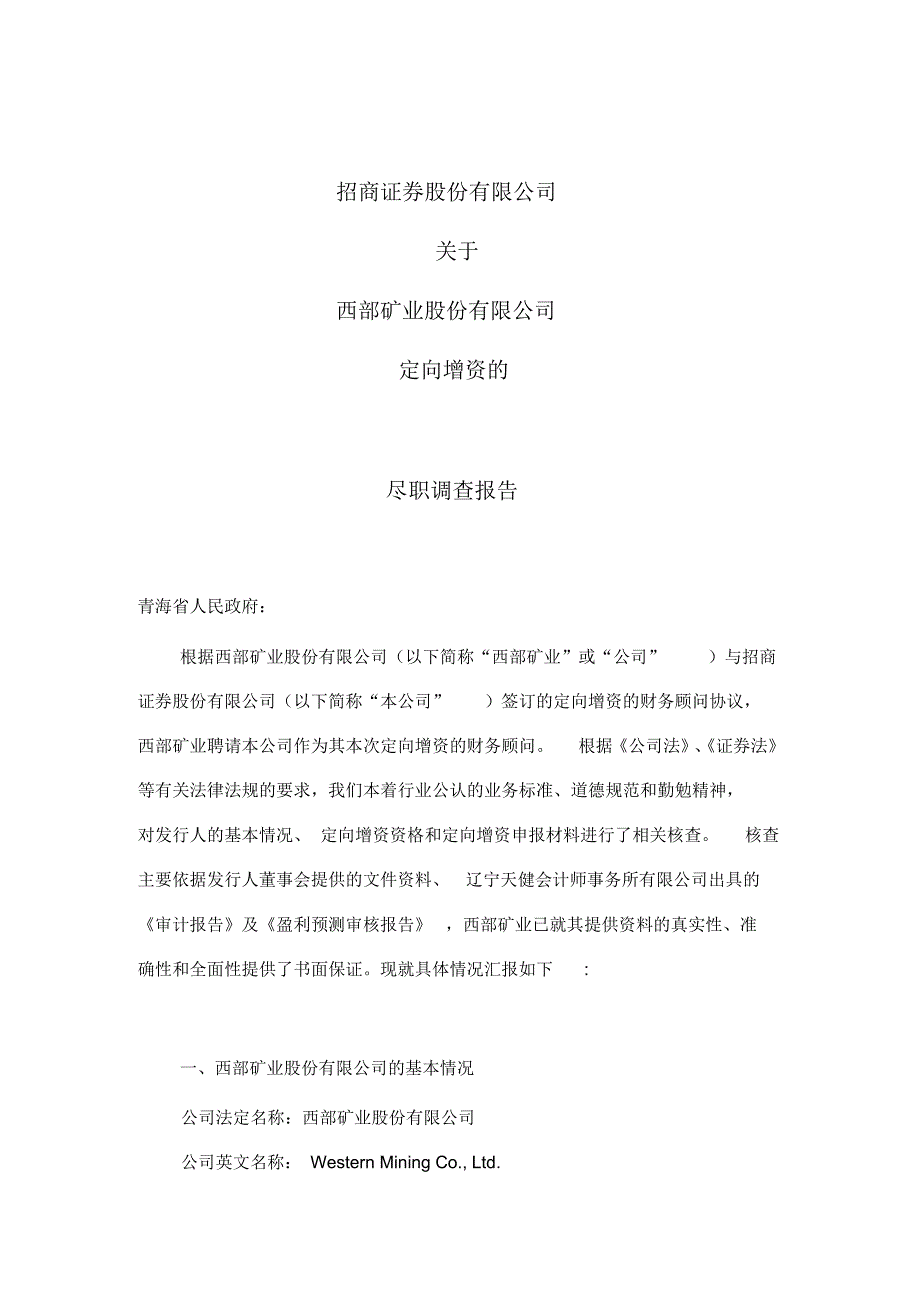 （可编）矿业公司尽职调查报告书_第1页