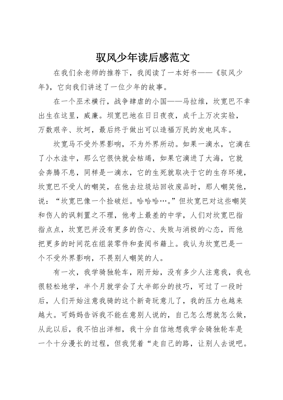 驭风少年读后感范文_第1页