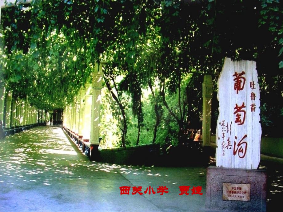 贾婕《葡萄沟》_第1页