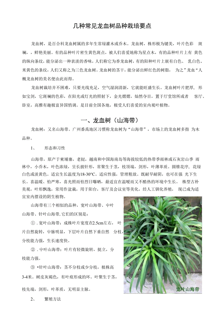 几种常见龙血树品种栽培要点费下载_第1页