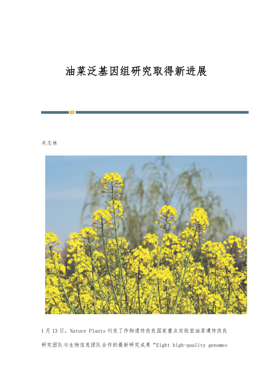油菜泛基因组研究取得新进展_第1页