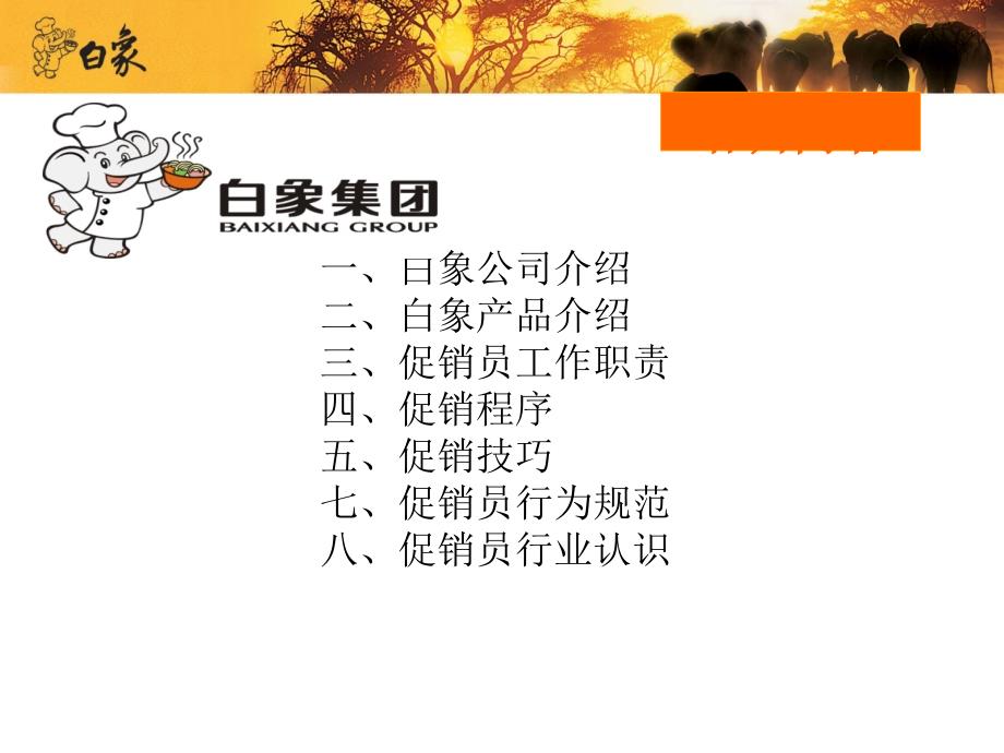 促销员培训手册(共44页)_第1页