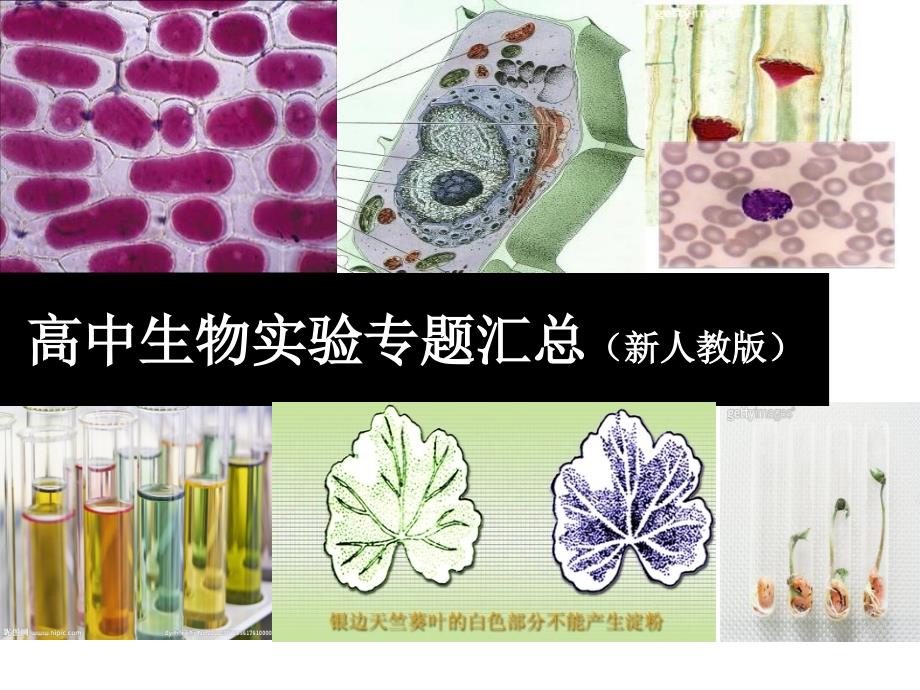 高中生物实验专题汇总资料_第1页