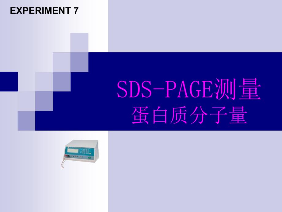 SDS-PAGE测量蛋白质分子量解析_第1页