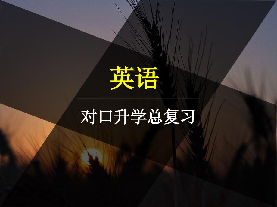 对口高职英语总复习专题6 书面表达_第1页