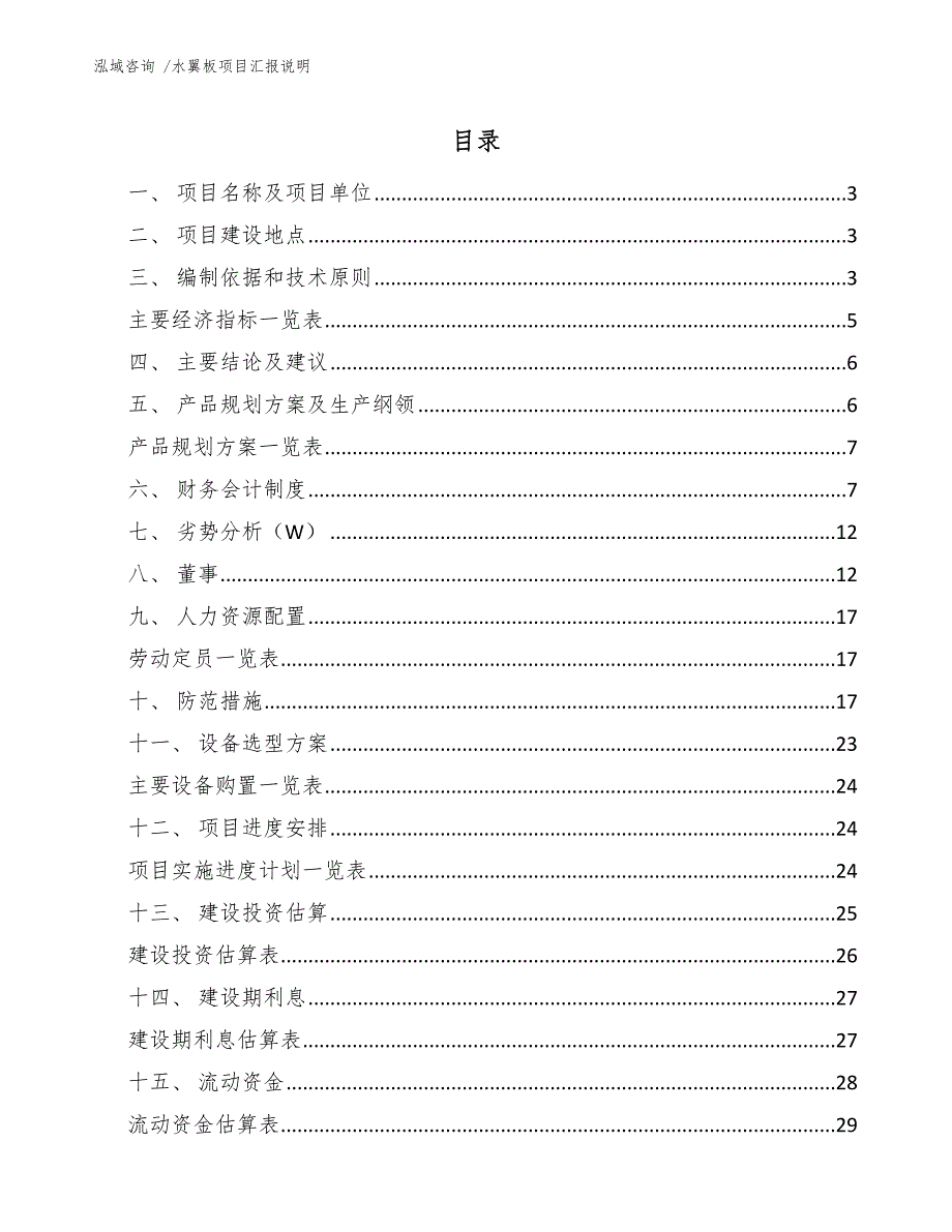 水翼板项目汇报说明（范文模板）_第1页