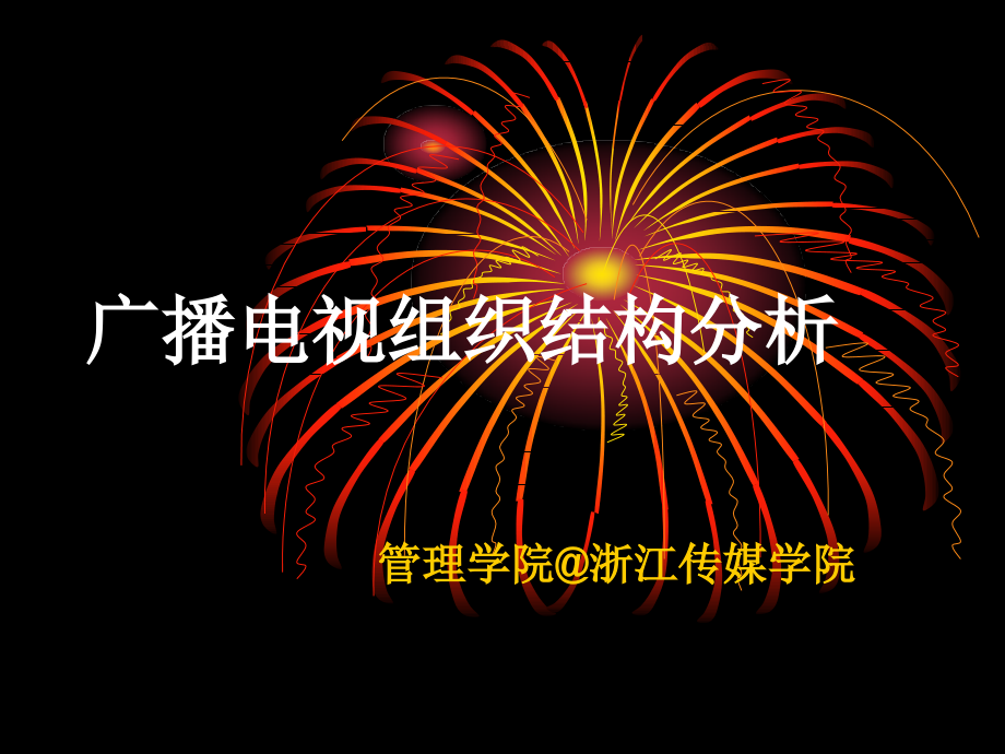 广播电视组织结构分析(共89页)_第1页