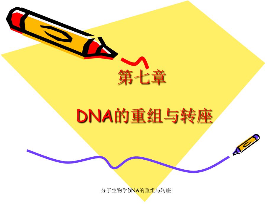 分子生物学DNA的重组与转座课件_第1页