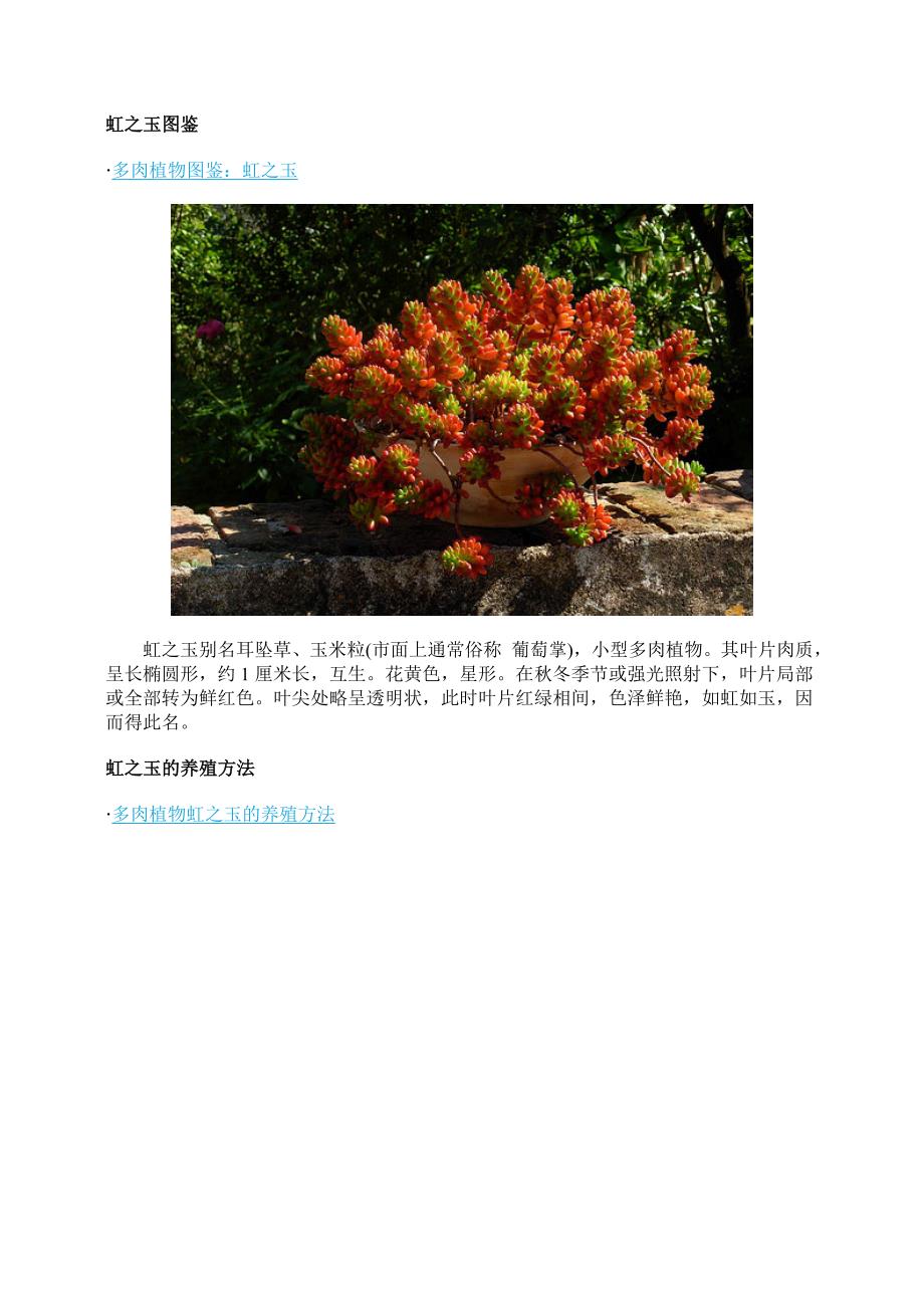 多肉植物虹之玉图鉴、养殖方法和注意事项_第1页