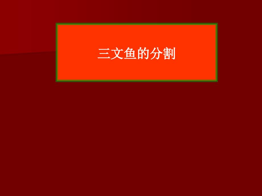 三文鱼的分割ppt课件_第1页