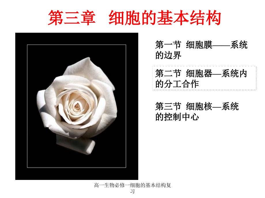 高一生物必修一细胞的基本结构复习课件_第1页